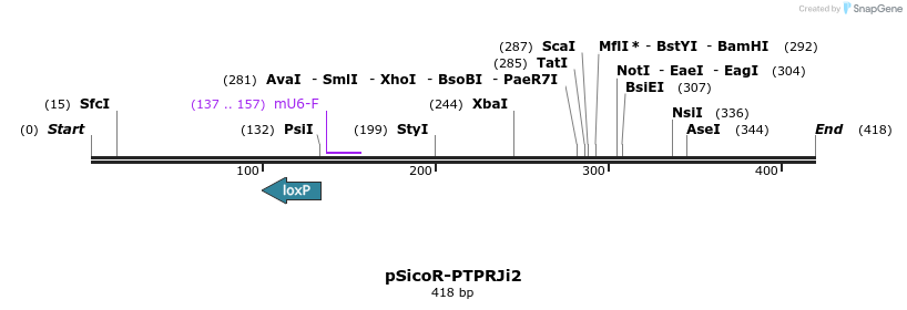 97332_map