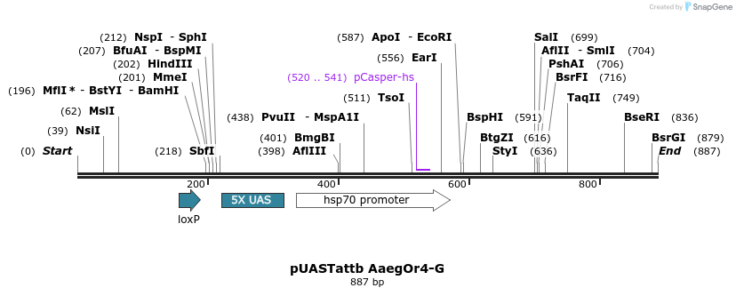 97337_map