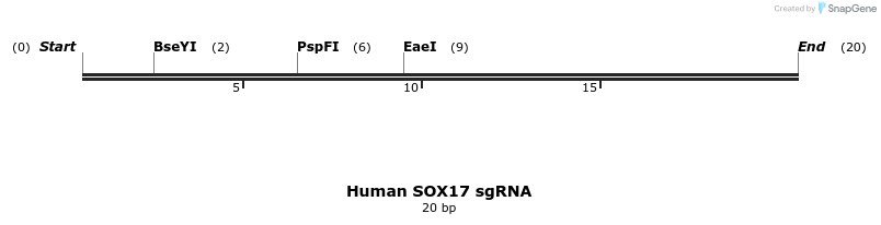 97339_map