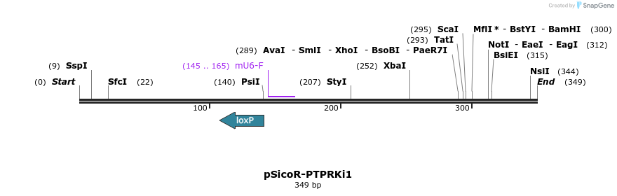 97342_map