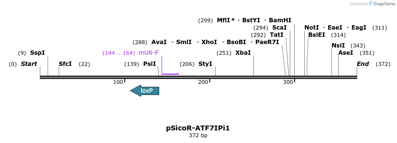 97346_map