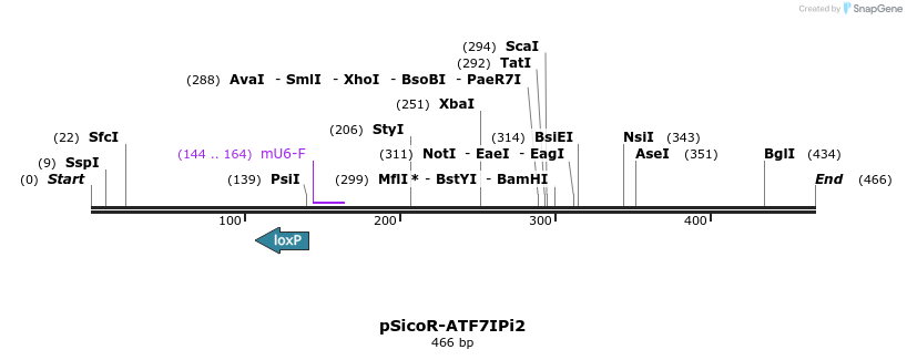 97347_map