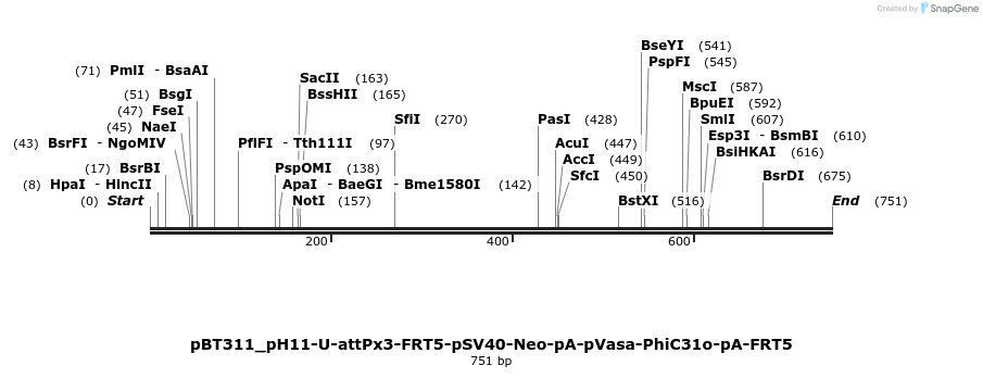 97353_map