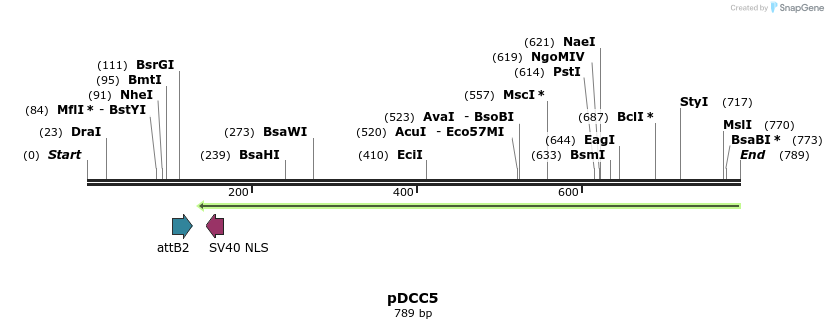 97363_map