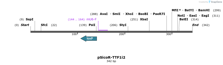 97368_map