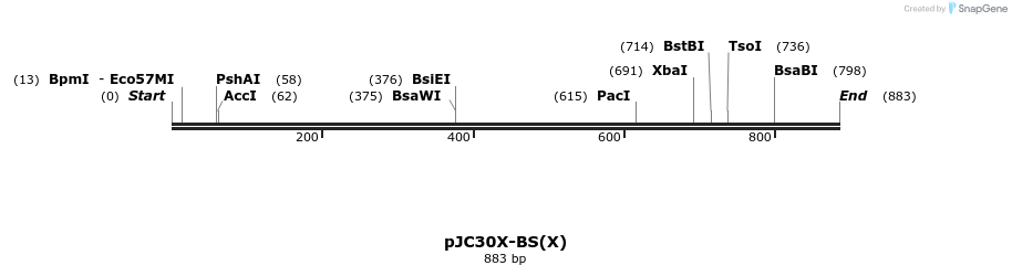 97375_map