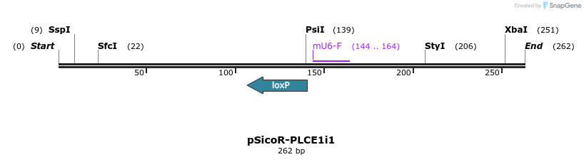 97377_map
