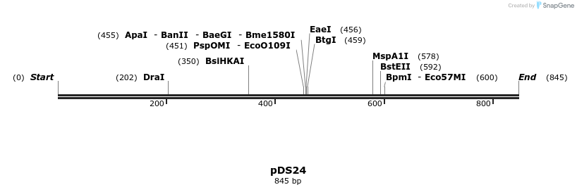 97384_map