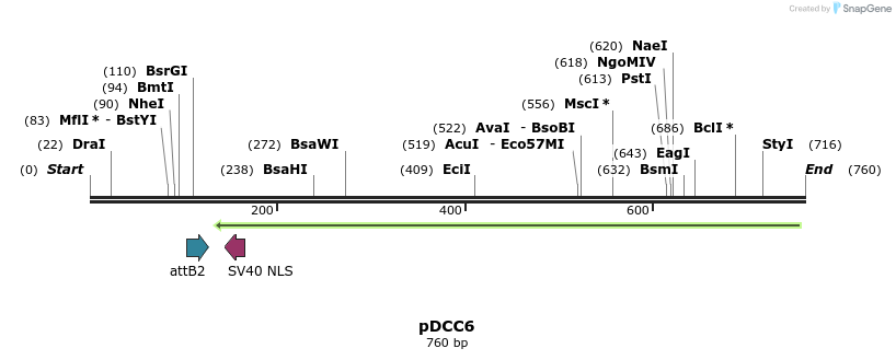 97386_map