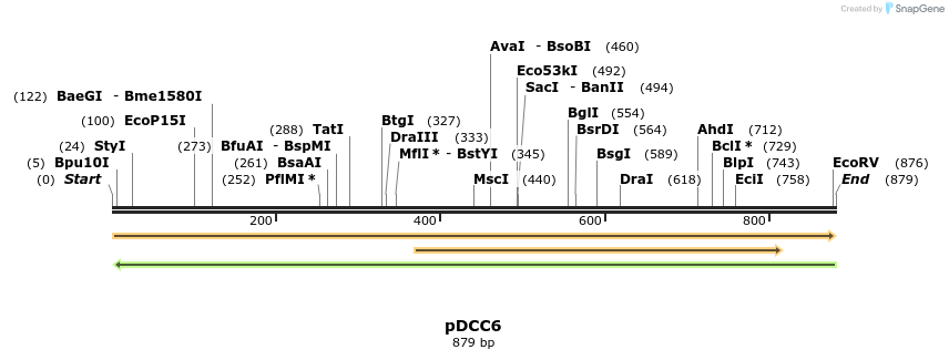 97388_map