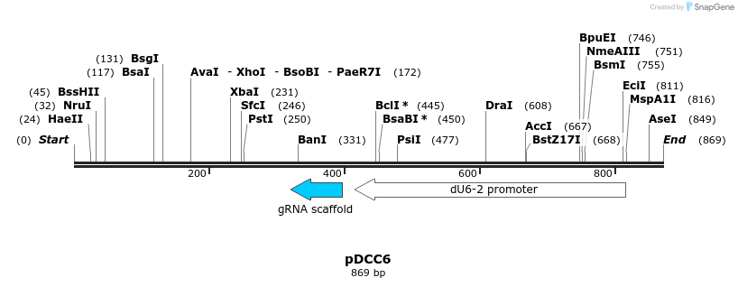 97389_map