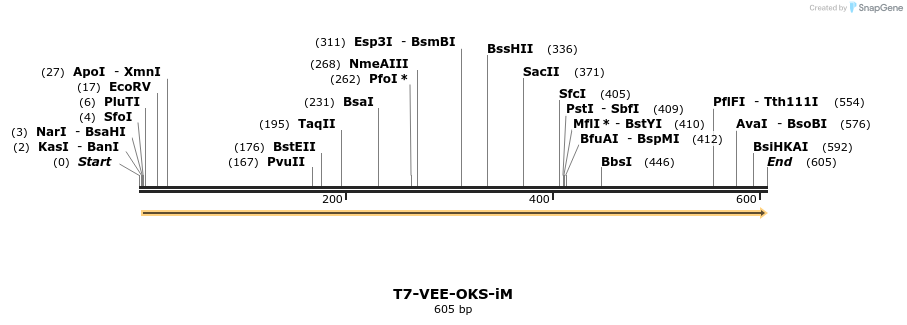 97392_map