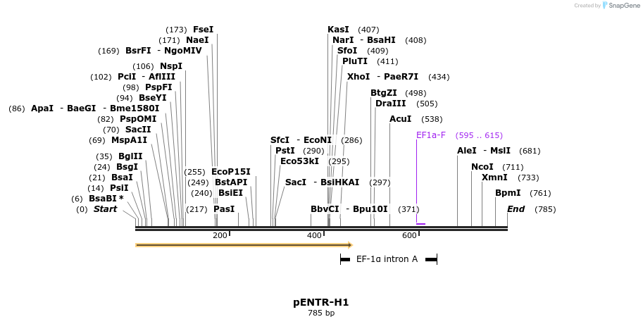 97394_map