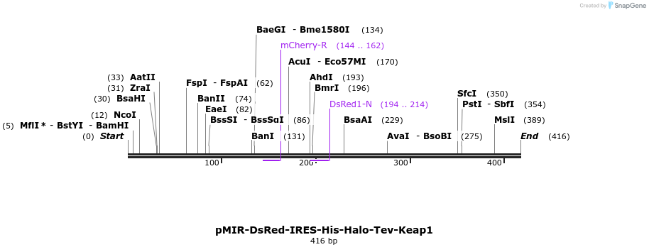 97395_map
