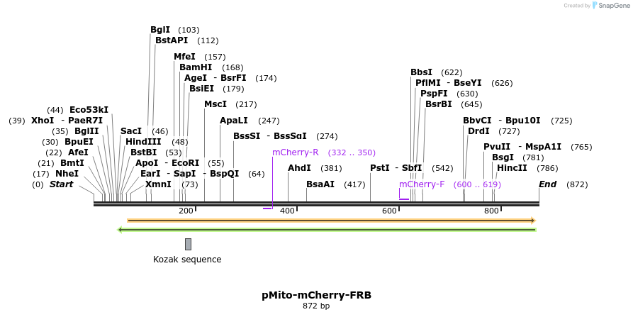 97403_map