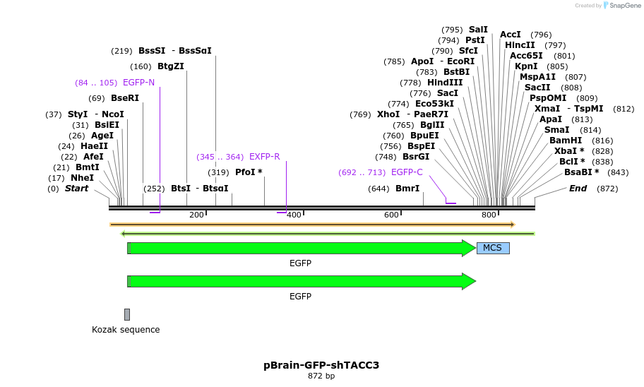 97411_map