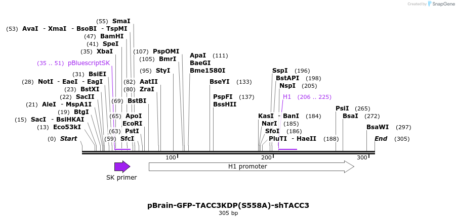 97413_map