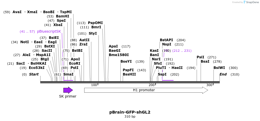 97420_map