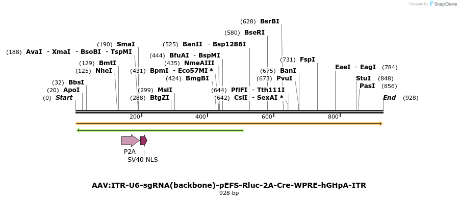 97422_map