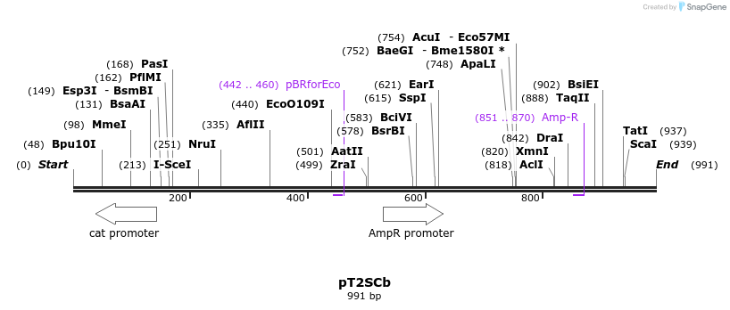 97425_map
