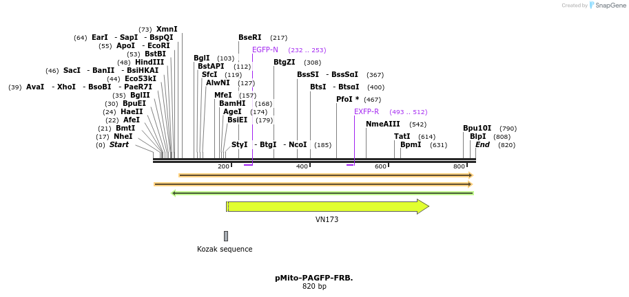 97426_map