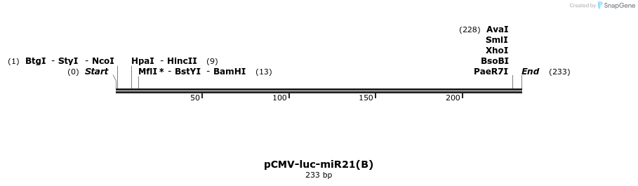 9743_map