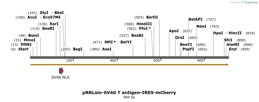 97445_map