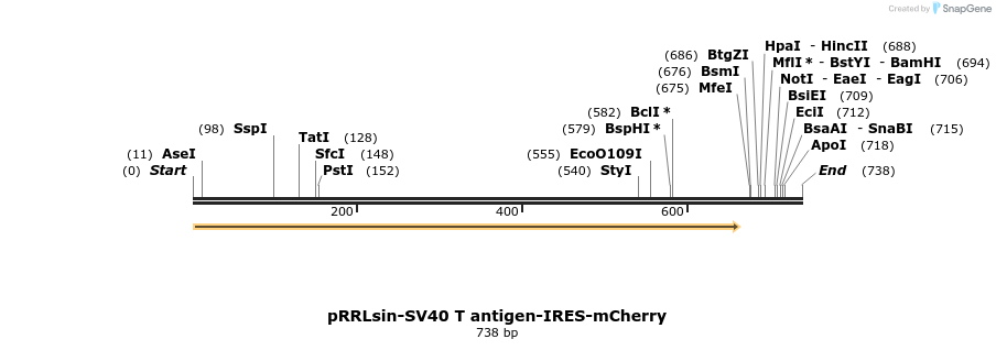 97447_map