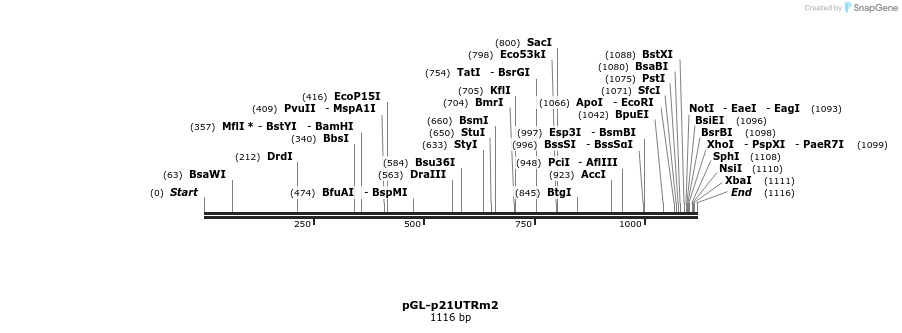 9745_map
