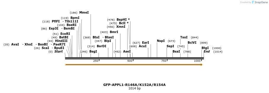 97451_map