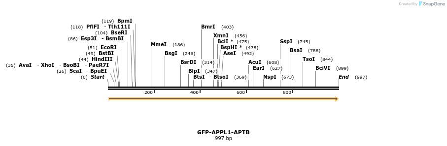 97452_map