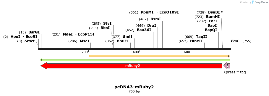 97456_map