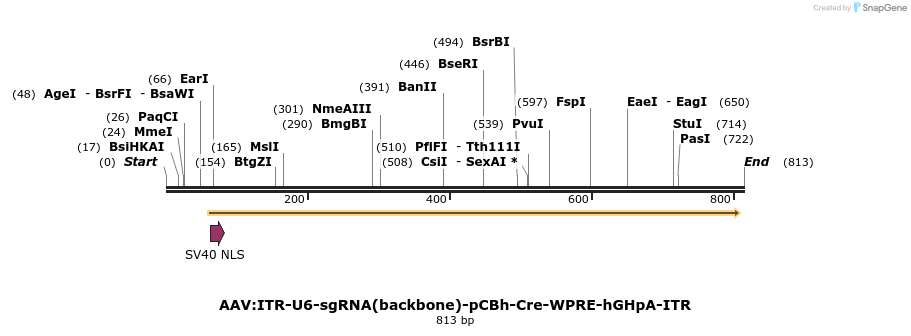 97458_map