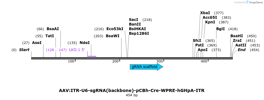 97459_map