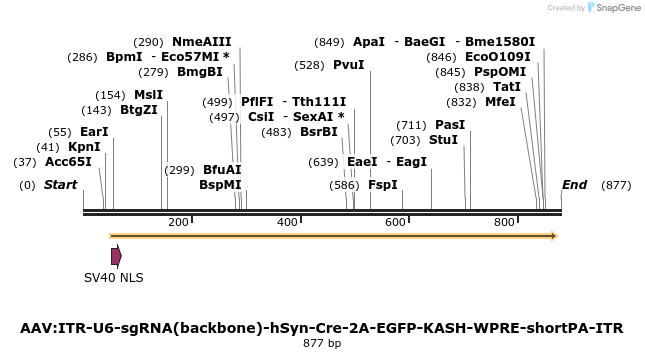 97461_map
