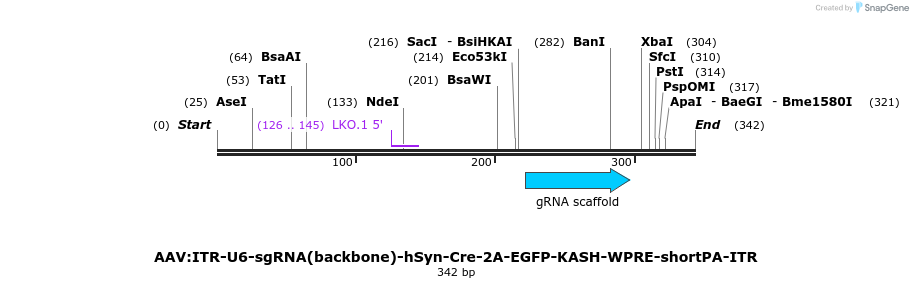 97462_map