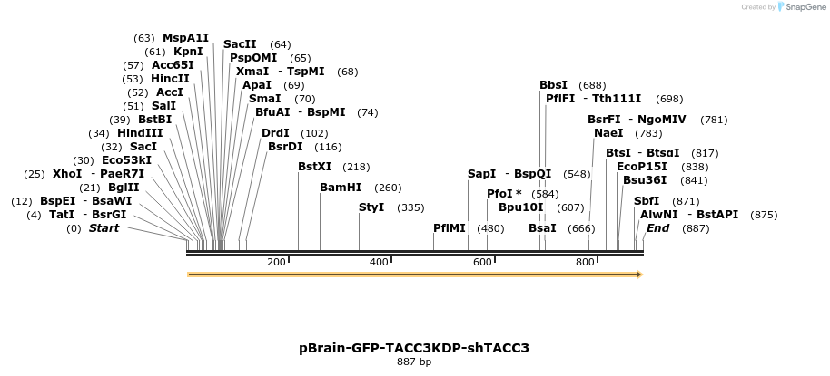 97467_map