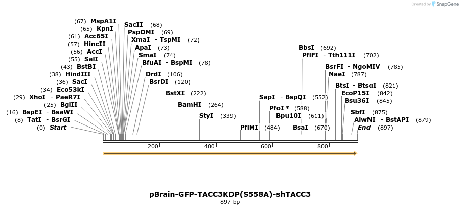 97468_map