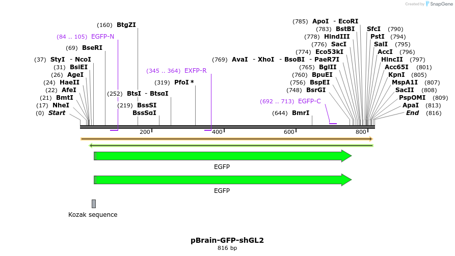 97471_map