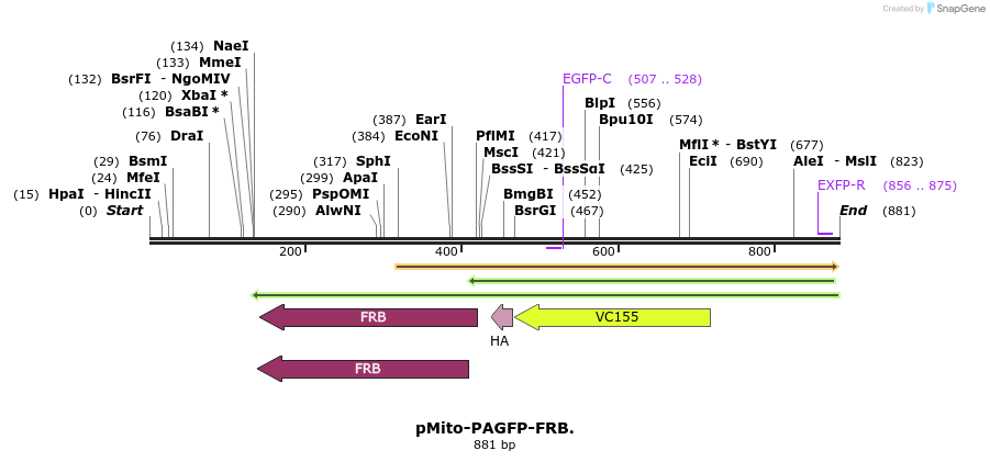 97473_map