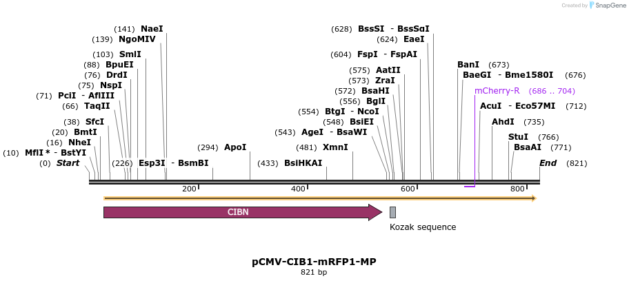 97477_map