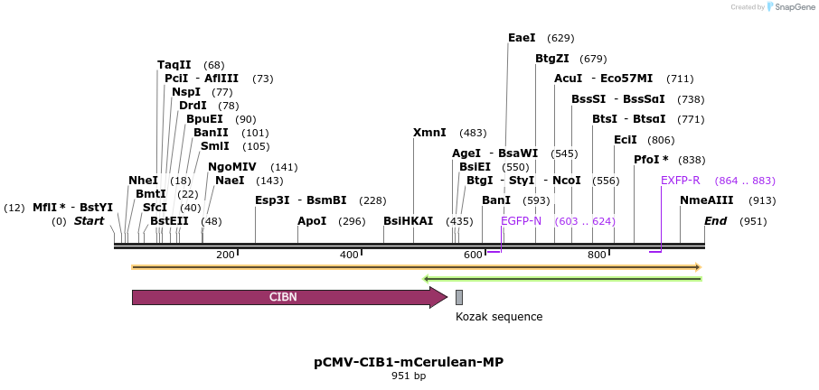97478_map