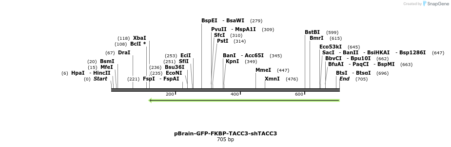 97479_map