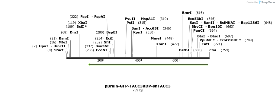 97480_map
