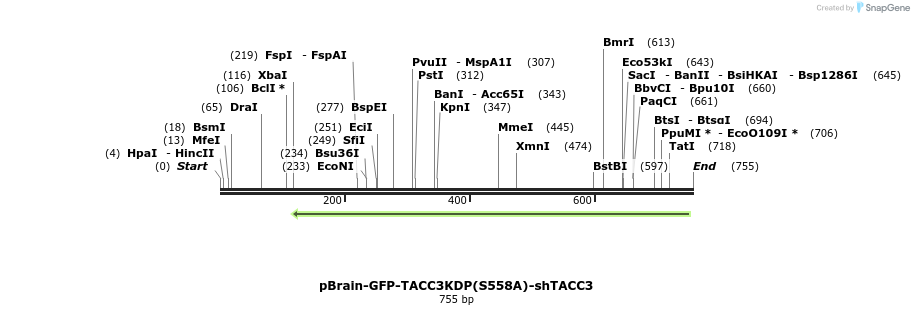 97481_map