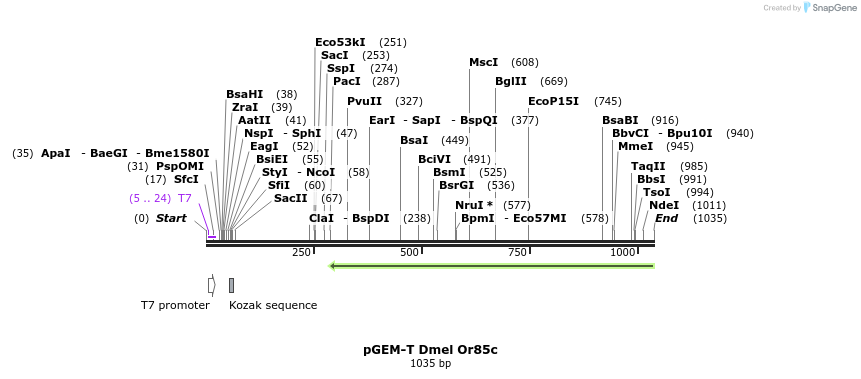 97482_map