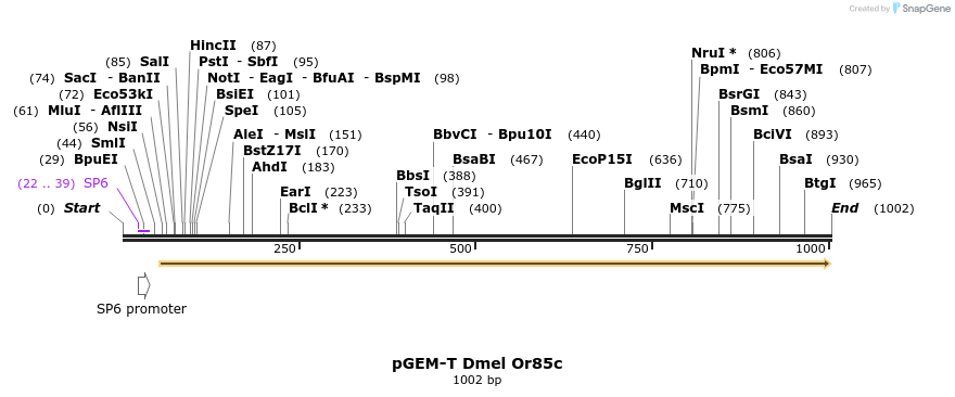 97483_map