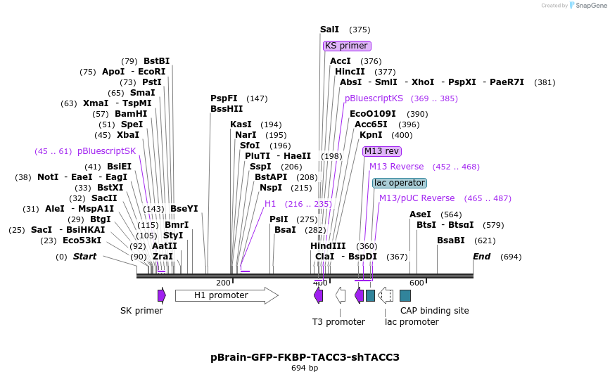 97485_map