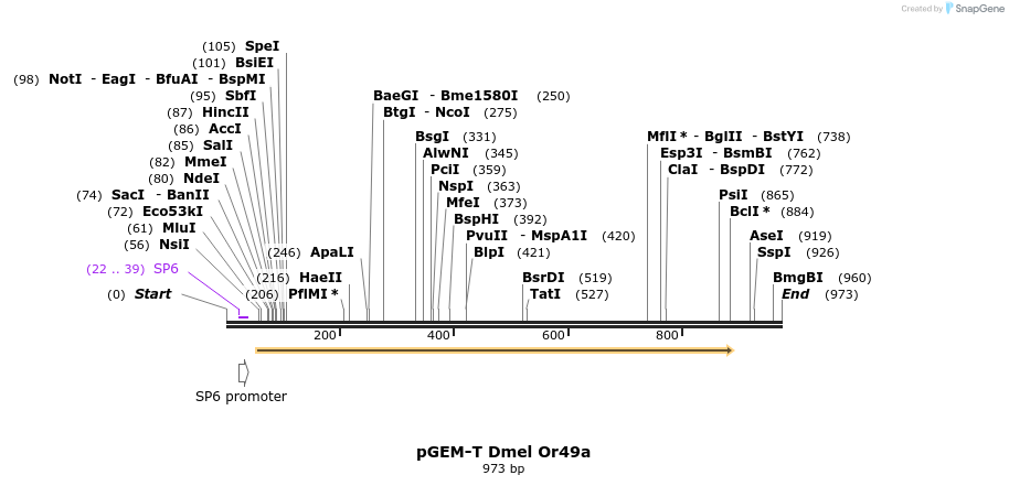 97488_map