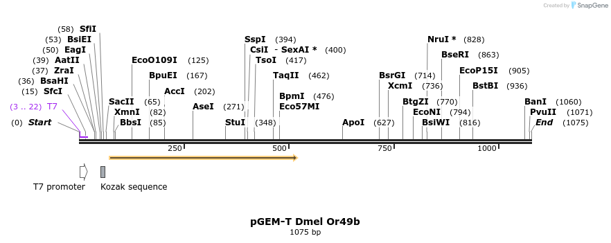 97490_map